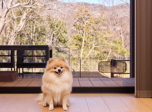 Rakuten STAY VILLA Hakone Gora - Vacation STAY 35803v