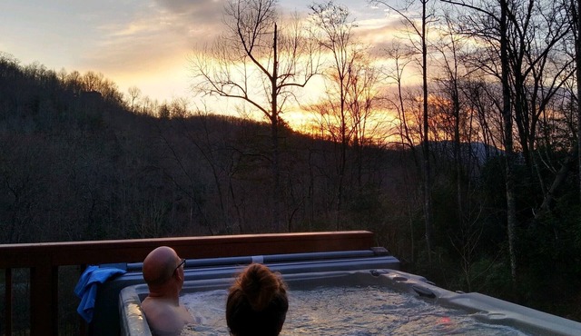 Running Squirrel Ridge cabin w/Hot tub+WiFi+firepit+deck & trails w/lake view! in Topton