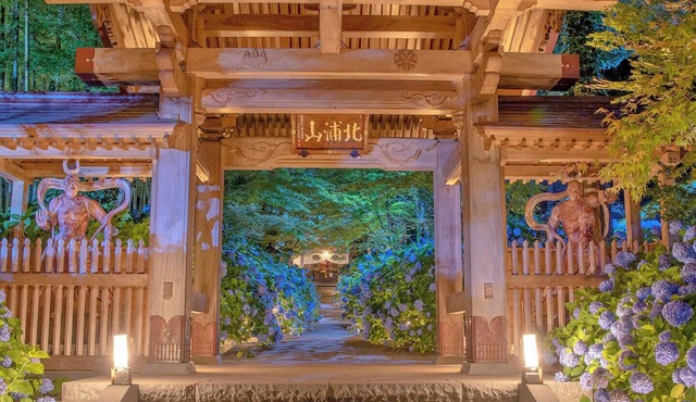 Ryokan OGA Onsen Seiko Grand Hotel