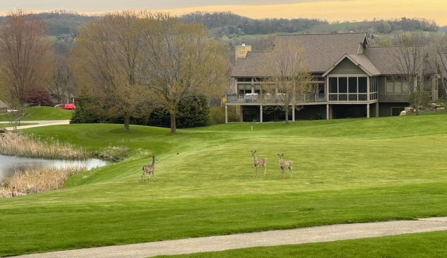 Sensational golf views from the patio! in Galena