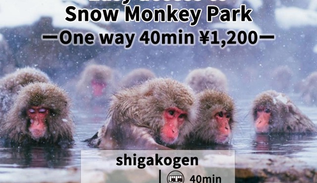 Shiga Swiss Inn in Yamanouchi