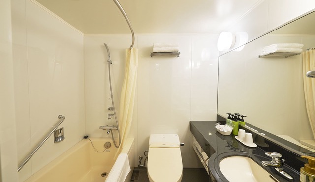Sotetsu Fresa Inn Kawasaki-Higashiguchi