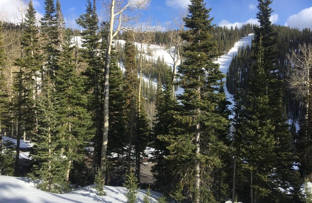 Snowflake At Eagle Point Ski Resort 