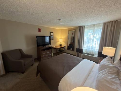 Comfort Inn Utica 