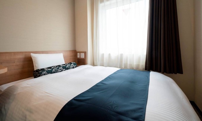 Toyohashi Hotel | 12 m² Hotel ∙ 1 bedroom ∙ 1 guest