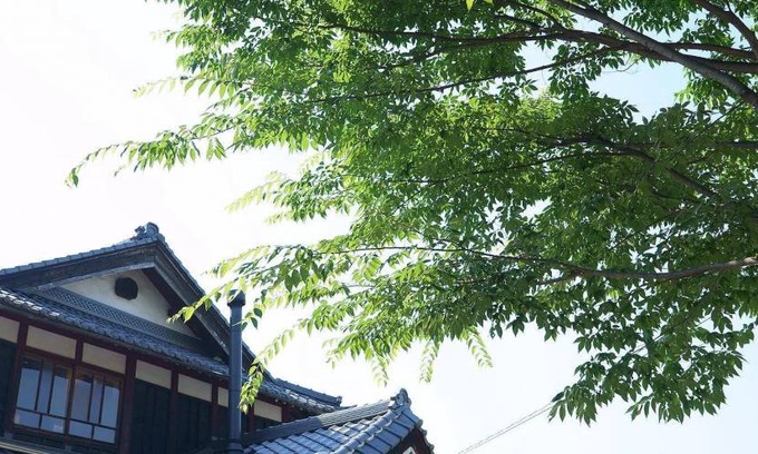 Ono Bed & Breakfast | 20 m² Bed and breakfast ∙ 6 guests