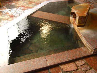 Togura Kamiyamada Onsen Hotel | 34 m² Hotel ∙ 14 guests