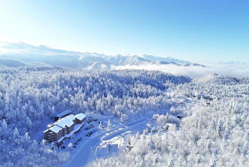 Asahidake Onsen Hotel | Higashikawa Asahidake Onsen Hotel Bear Monte