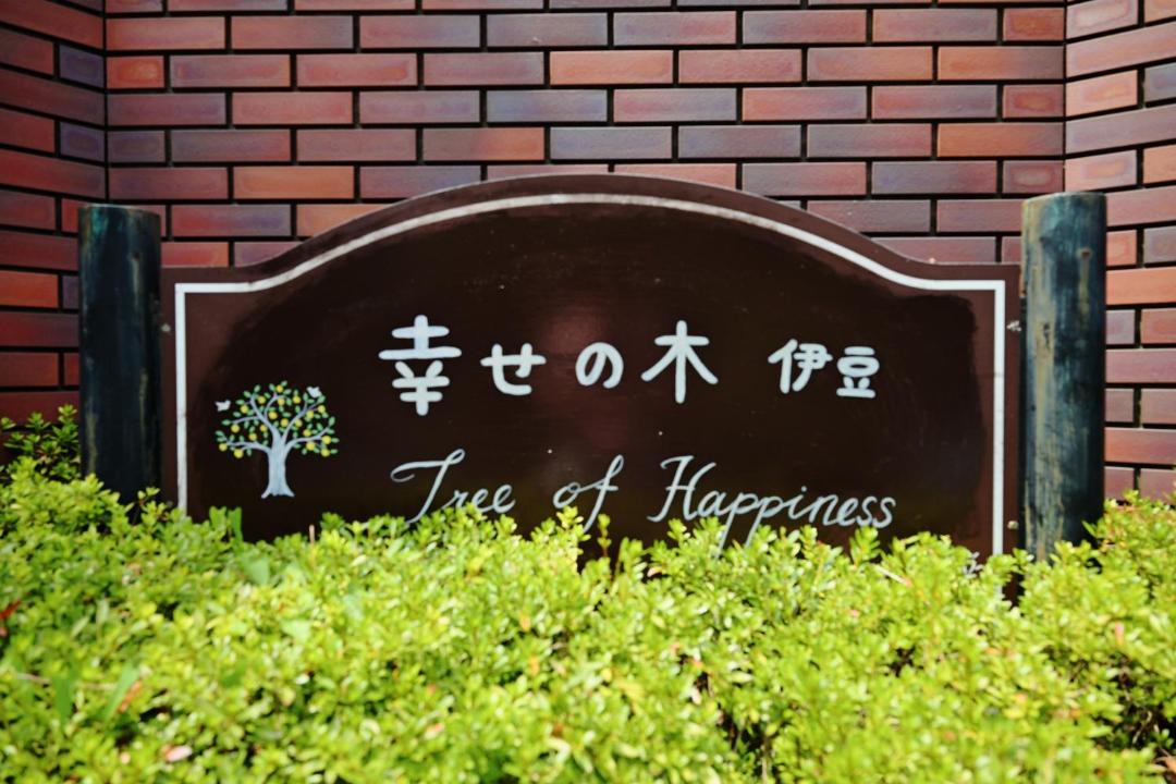 Yawatano Hotel | Hotel Tree of Happiness Izu