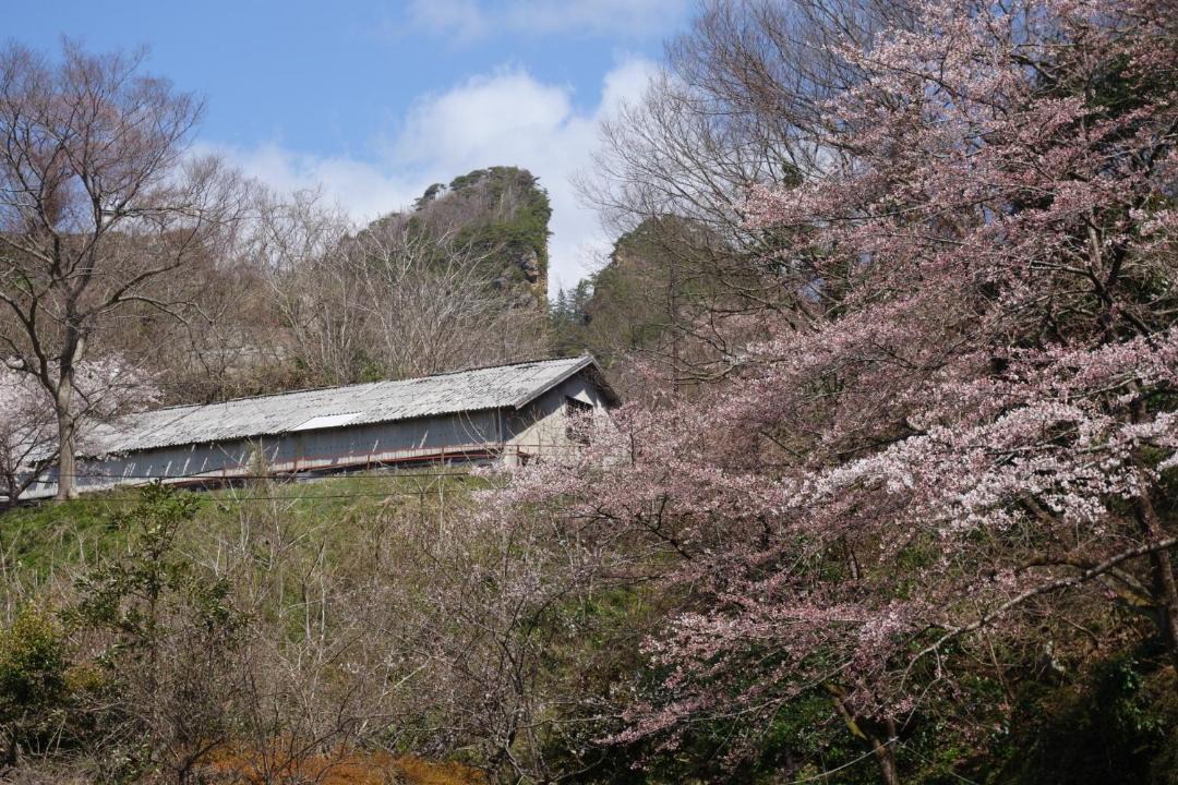Sado Hotel | Natural Mind Tour guest house - Vacation STAY 23292v