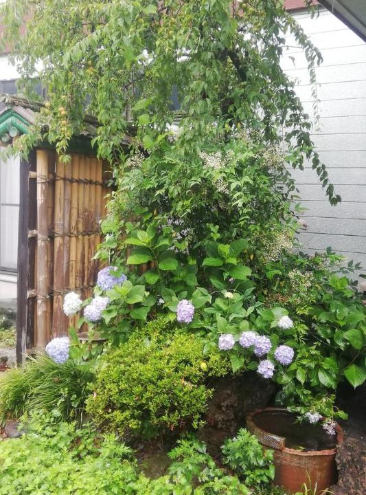 Ogano-machi Hotel | Suijin Hotel - Vacation STAY 23120v