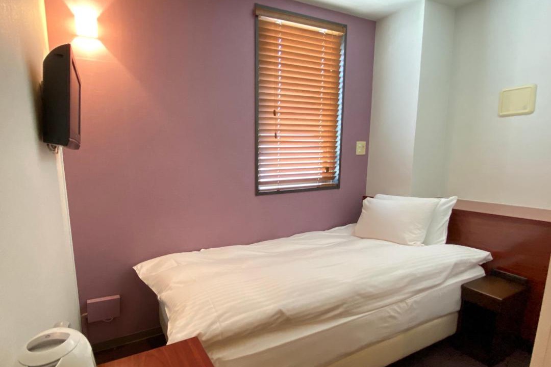 Yanagibashi Hotel | Web Hotel Tokyo Asakusabashi