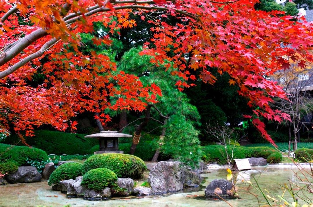 Takanawa Hotel | Takanawa Hanakohro, a Member of Small Luxury Hotels of the World
