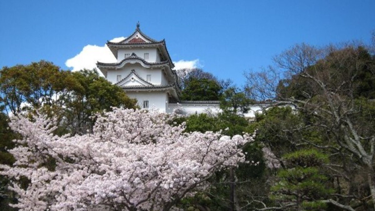 Photo of Others in Akashi