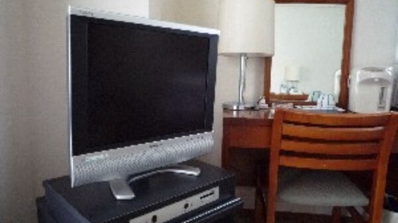 Photo of Livingroom in Minamimachi