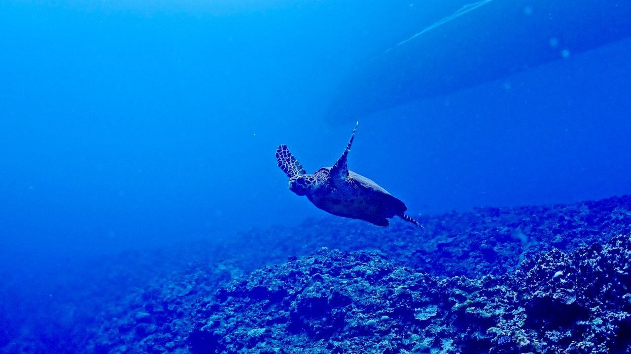 Photo of Outdoor in Maejima
