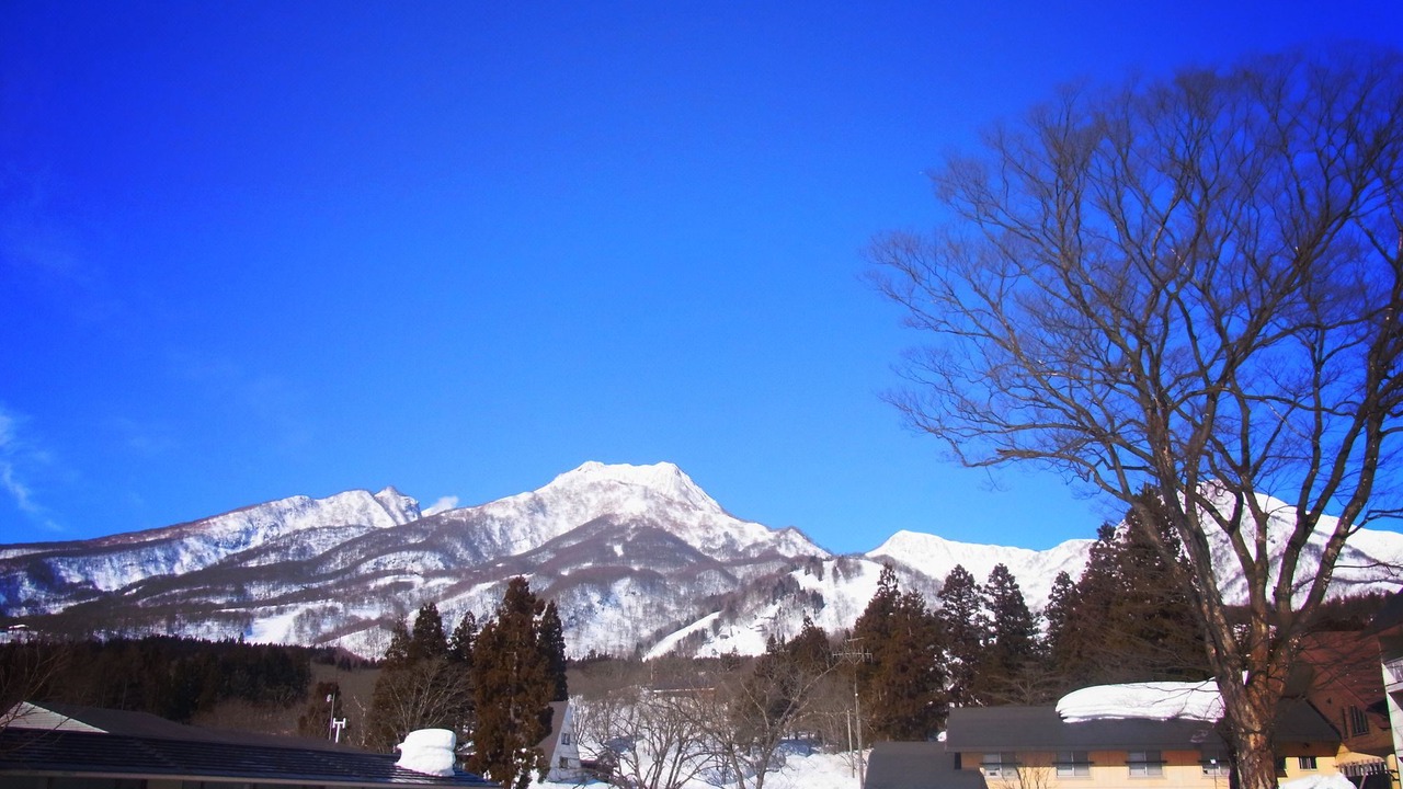 Photo of Others in Akakura