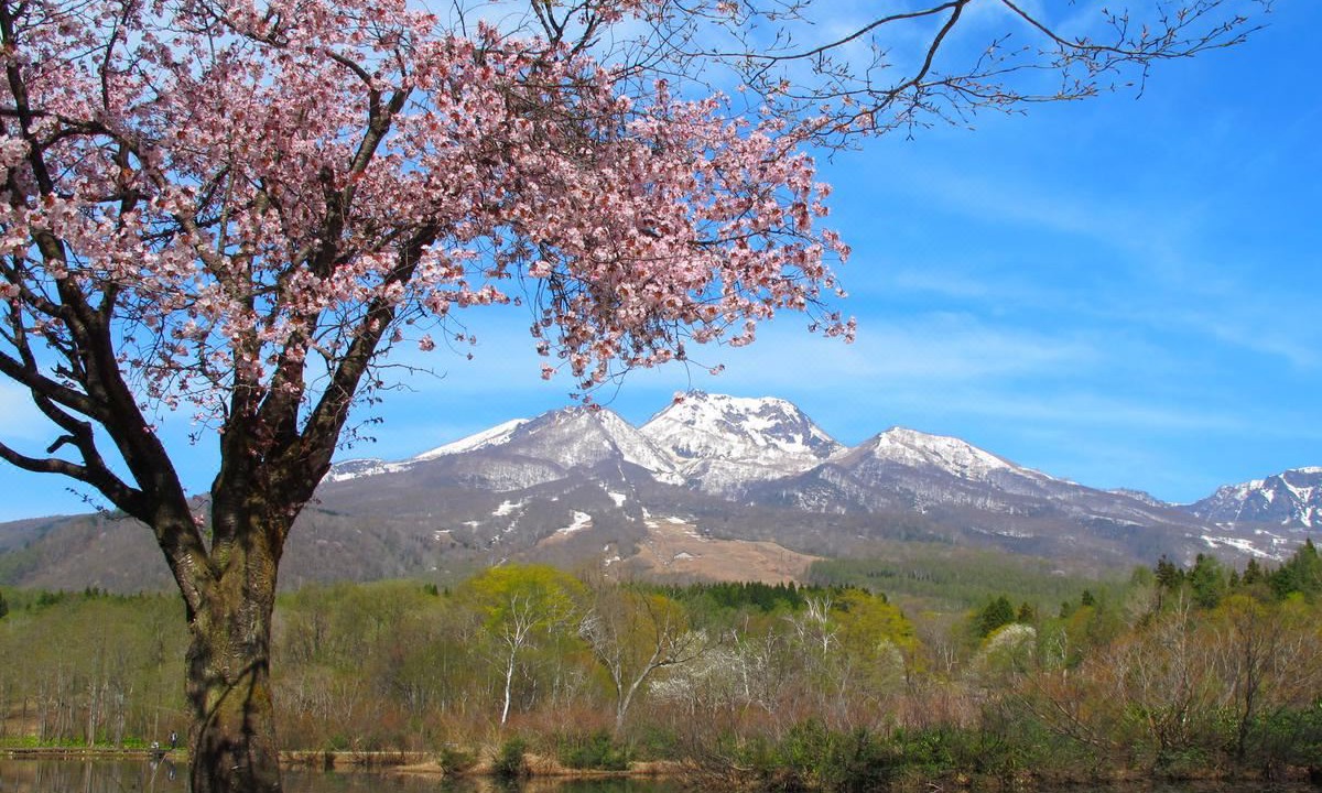 Photo of Outdoor in Akakura