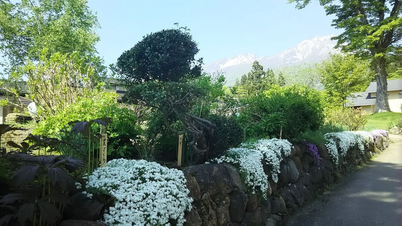 Photo of Others in Akakura