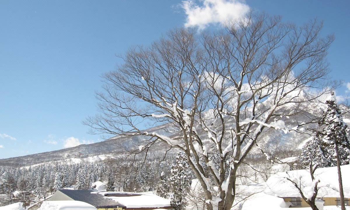 Photo of Others in Akakura