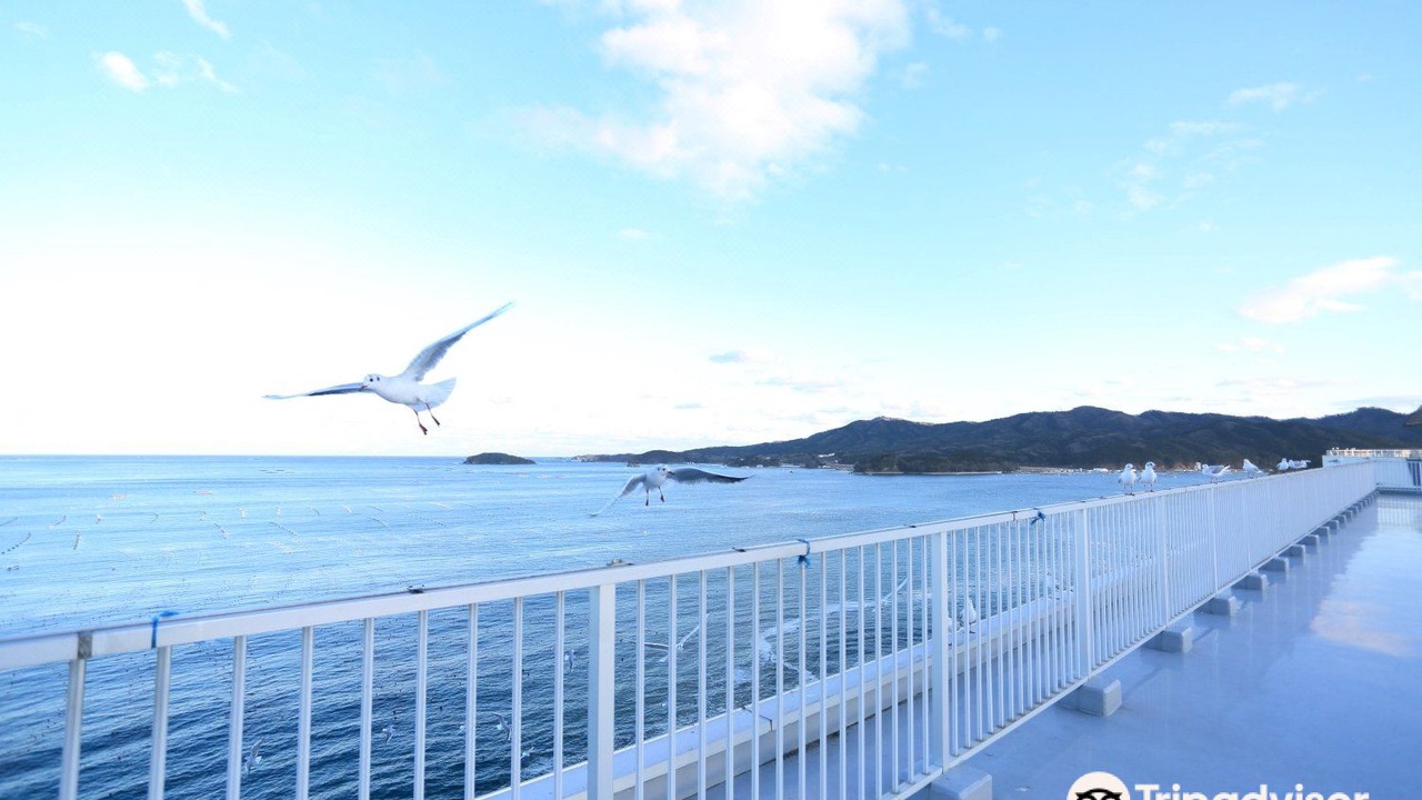 Photo of Others in Shizugawa