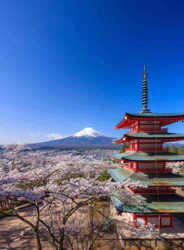 Photo of Others in Azagawa