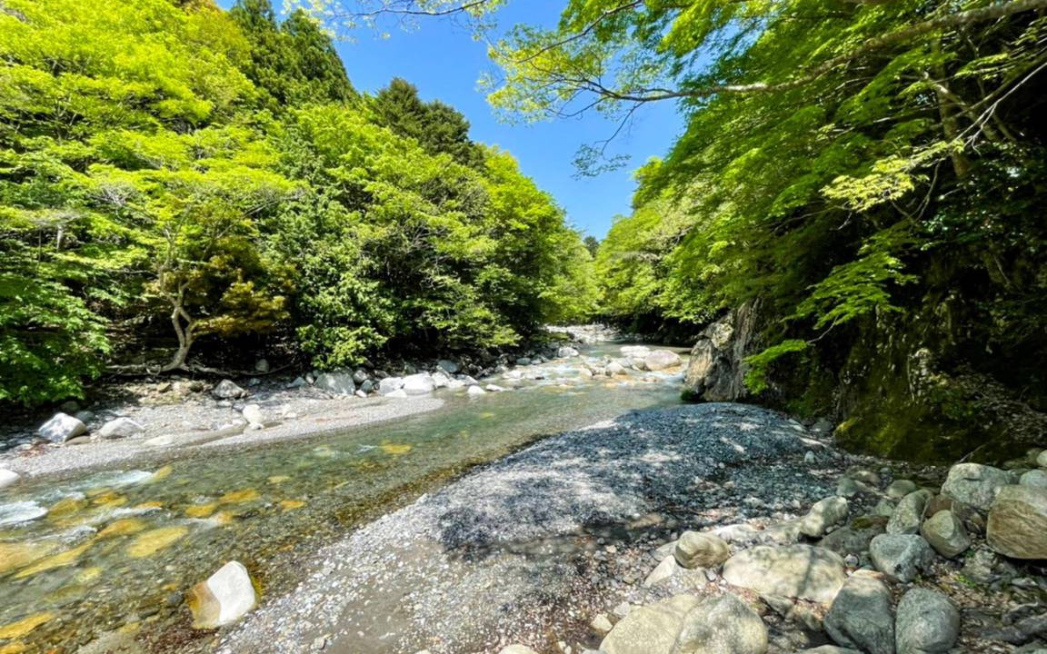 Photo of Others in Higashiomi