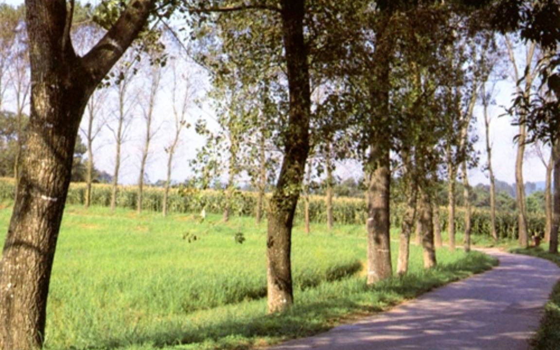 Photo of Others in Shobara