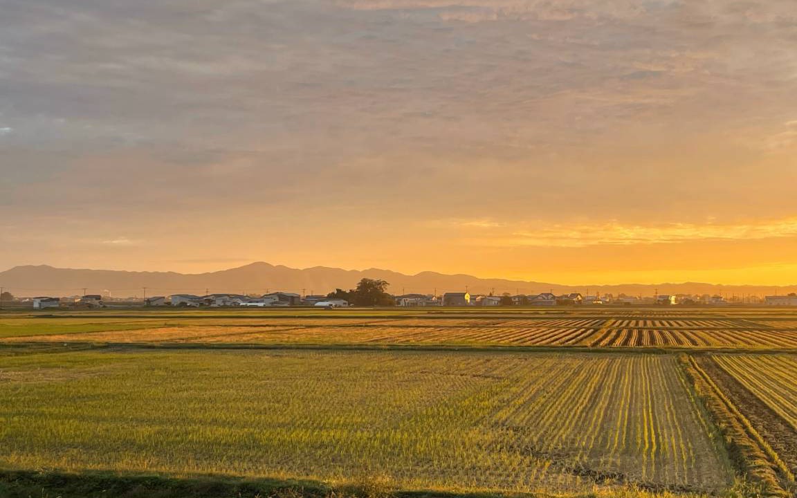 Photo of Others in Tsugaru
