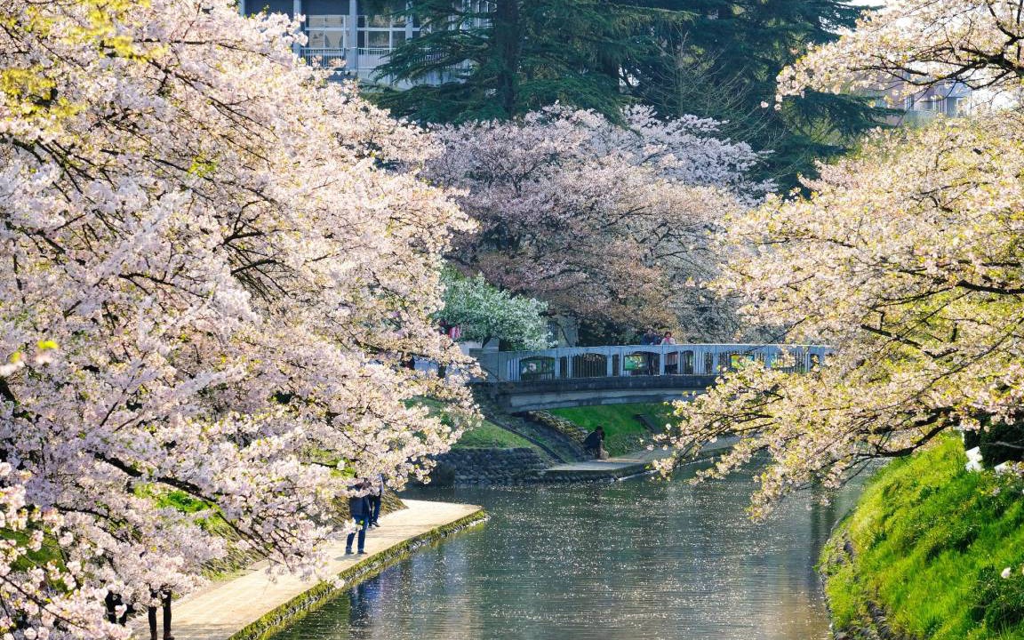 Photo of Others in Toyama