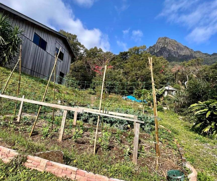 Photo of Others in Yakushima