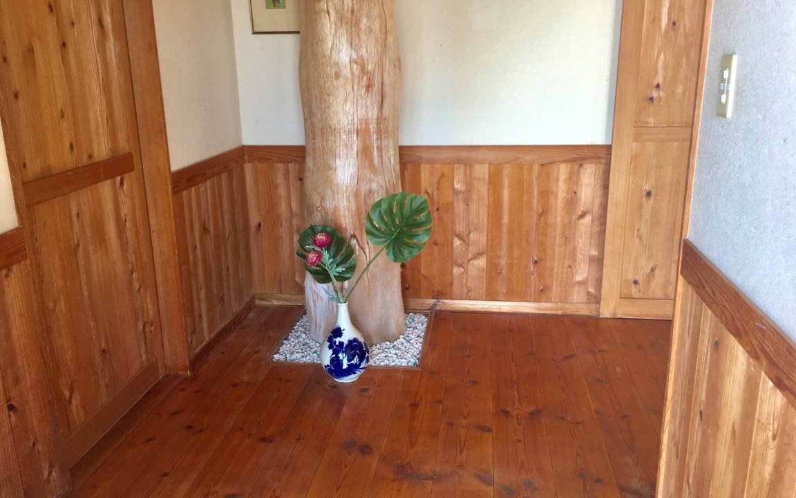 Photo of Others in Yakushima