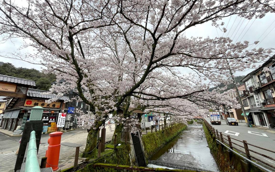 Photo of Others in Kinosaki Onsen