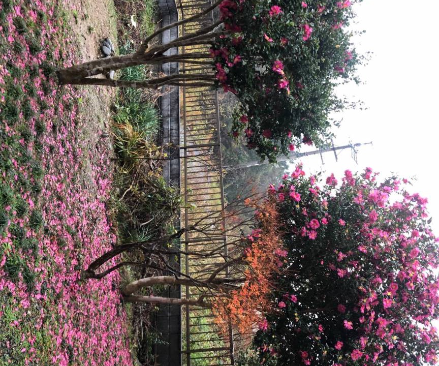 Photo of Outdoor in Ise
