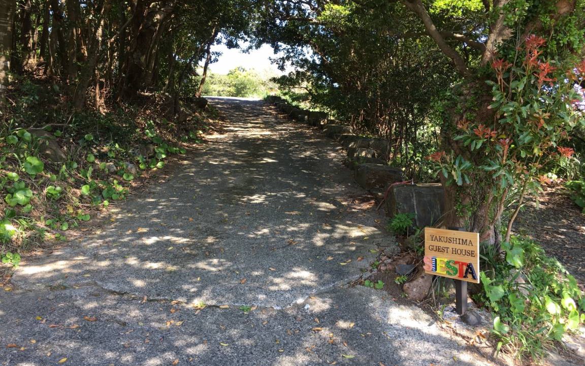 Photo of Others in Yakushima