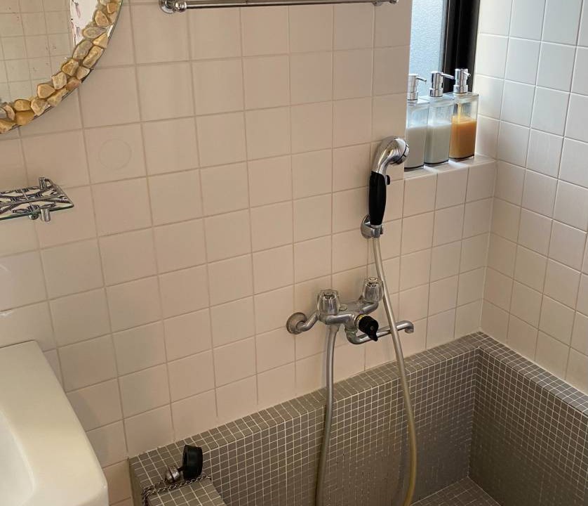 Photo of Bathroom in Fujieda