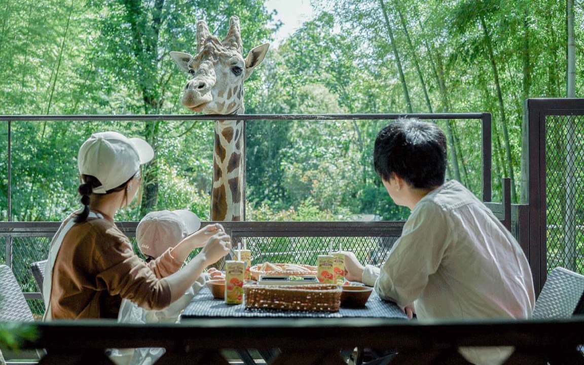 Photo of Others in Ichihara