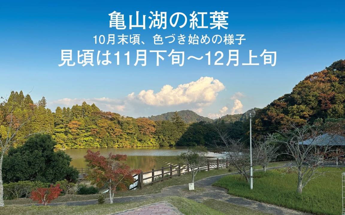 Photo of Others in Kimitsu