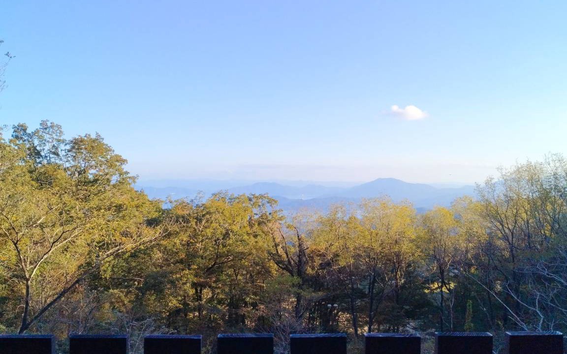 Photo of Others in Miyazu