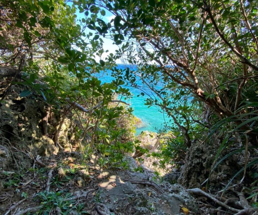 Photo of Others in Ojima Island