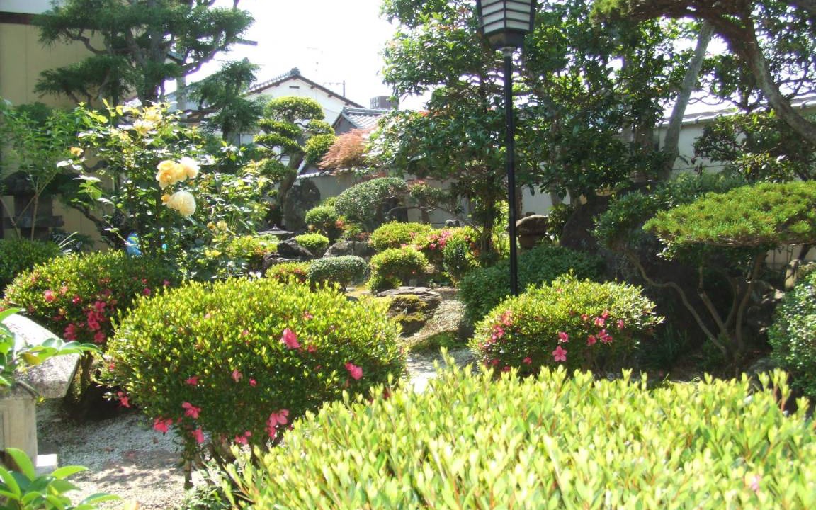 Photo of Others in Maizuru