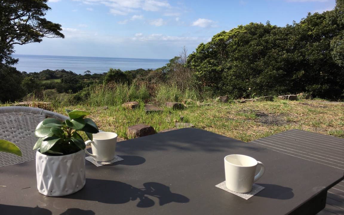 Photo of Others in Yakushima