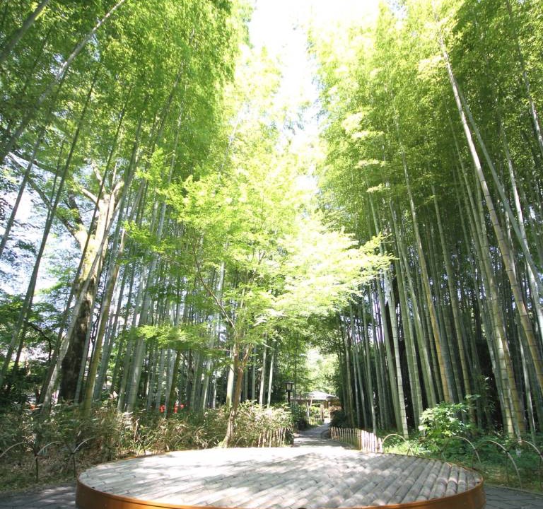 Photo of Others in Shuzenji