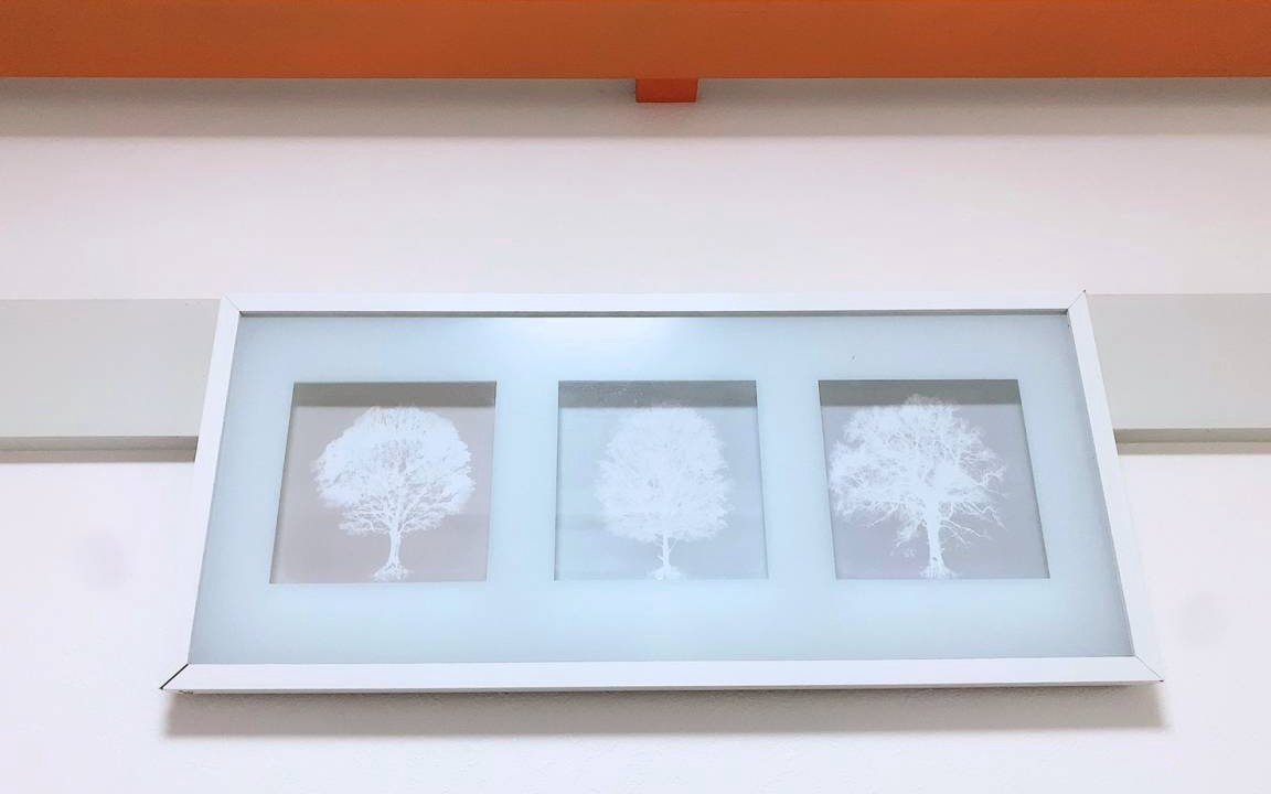 Photo of Others in Shinsekai