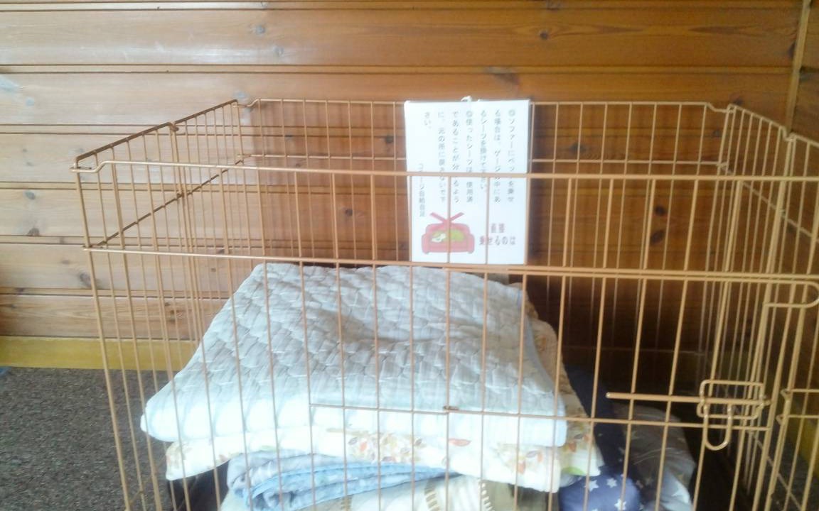Photo of Others in Miyazu