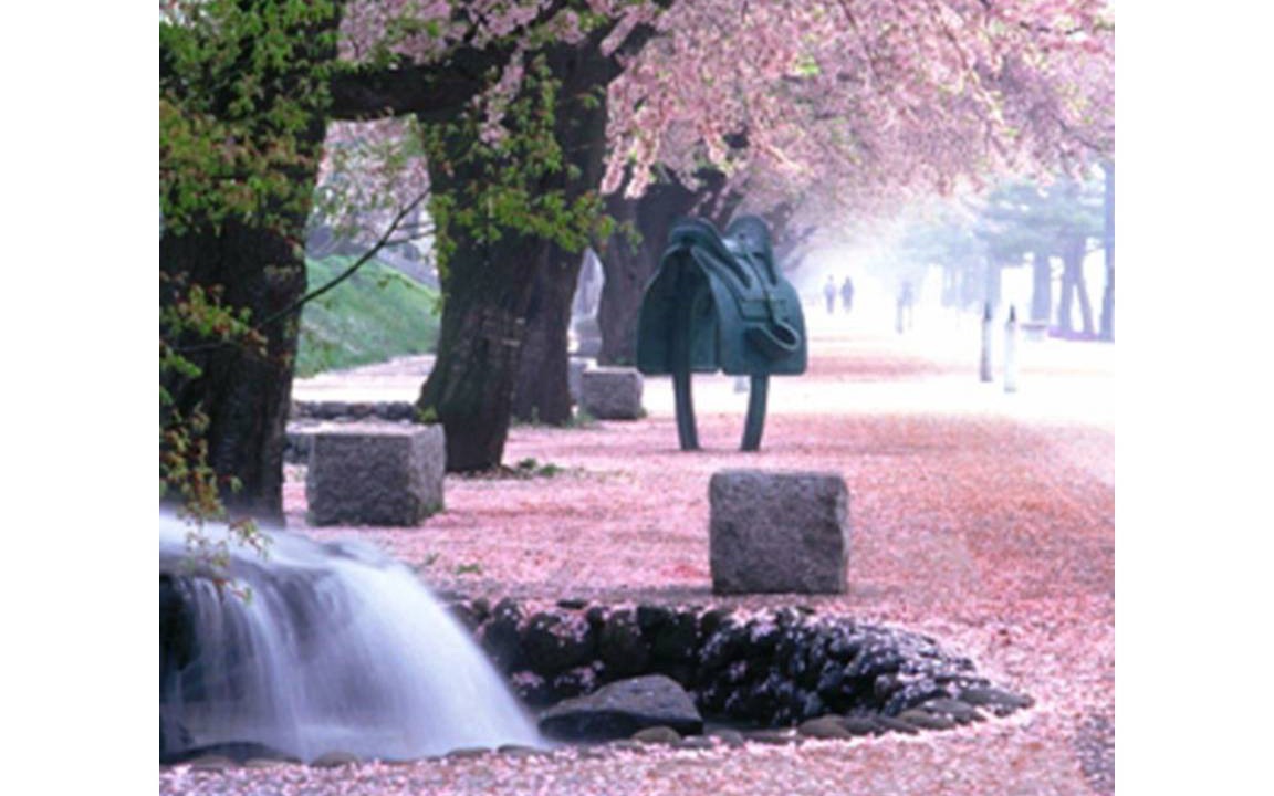 Photo of Others in Towada