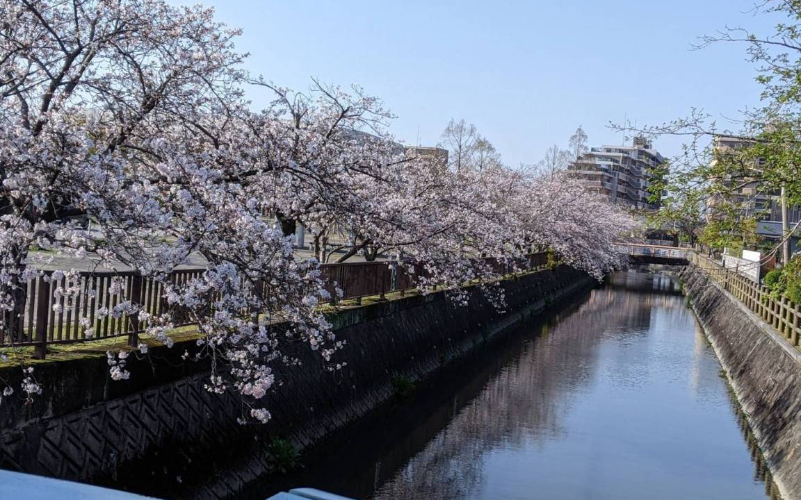 Photo of Others in Okawa