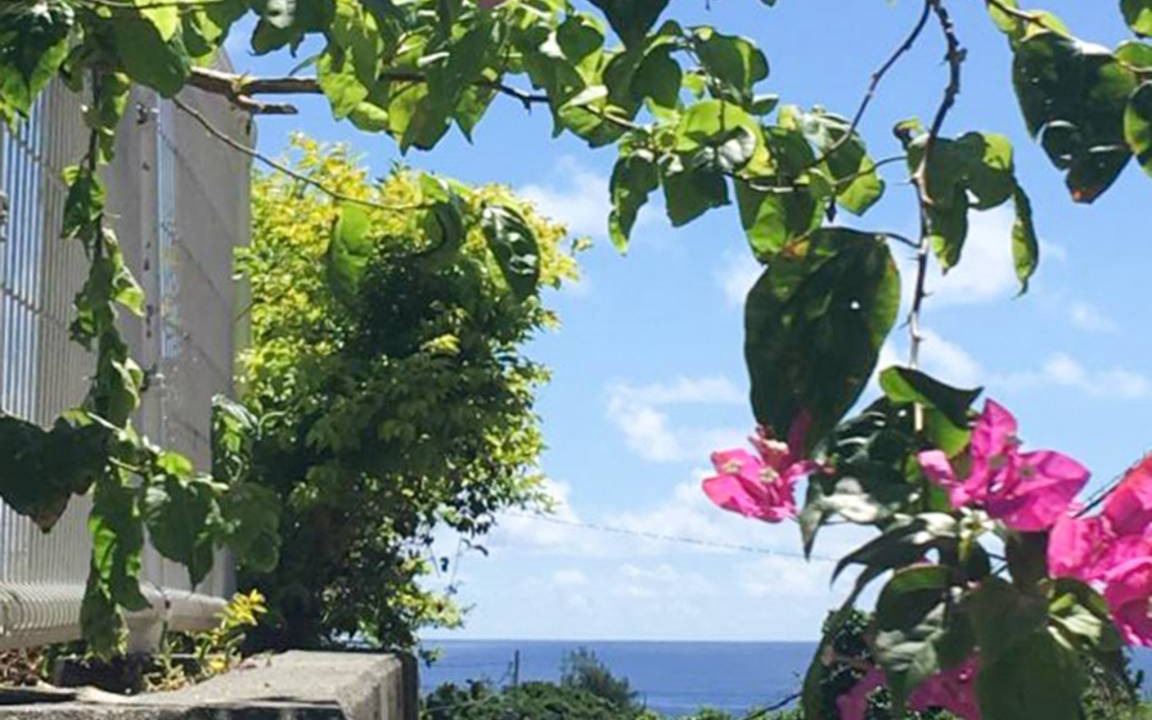 Photo of Others in Miyakojima