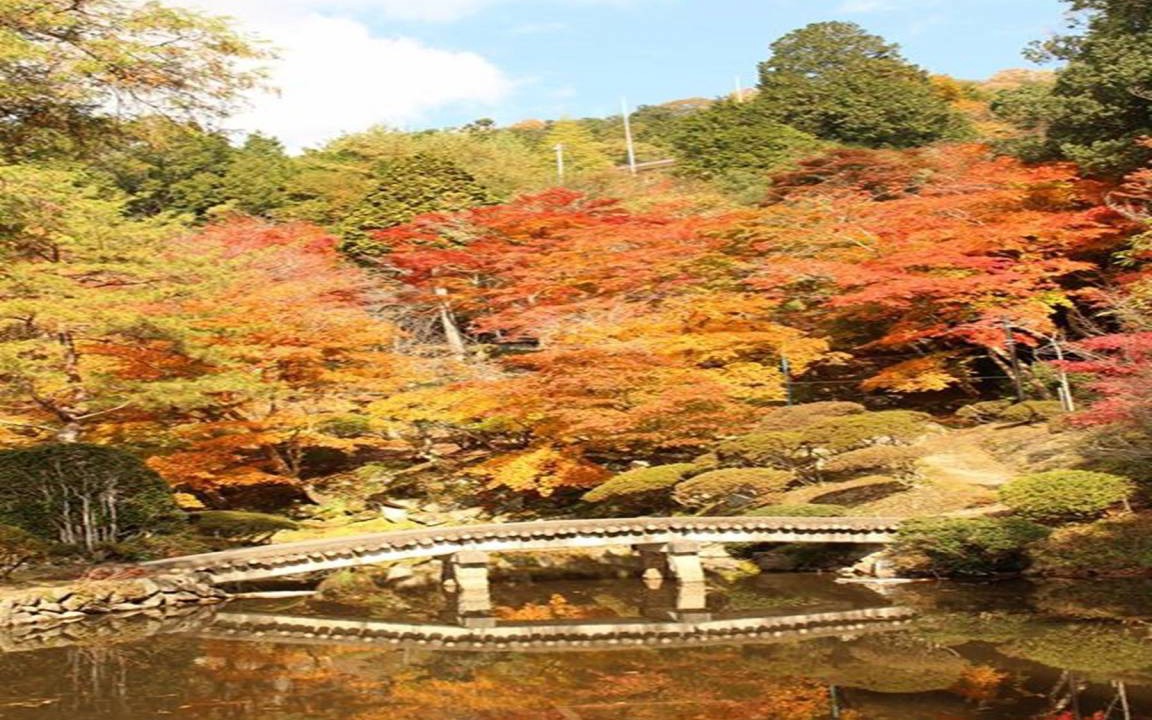 Photo of Others in Akitakata