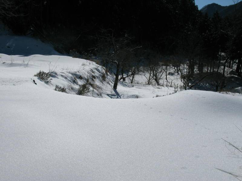 Photo of Others in Ine-cho